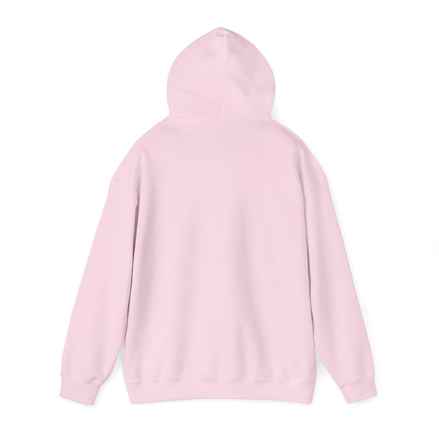 embroidery hoodie