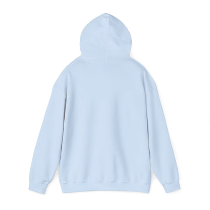 embroidery hoodie