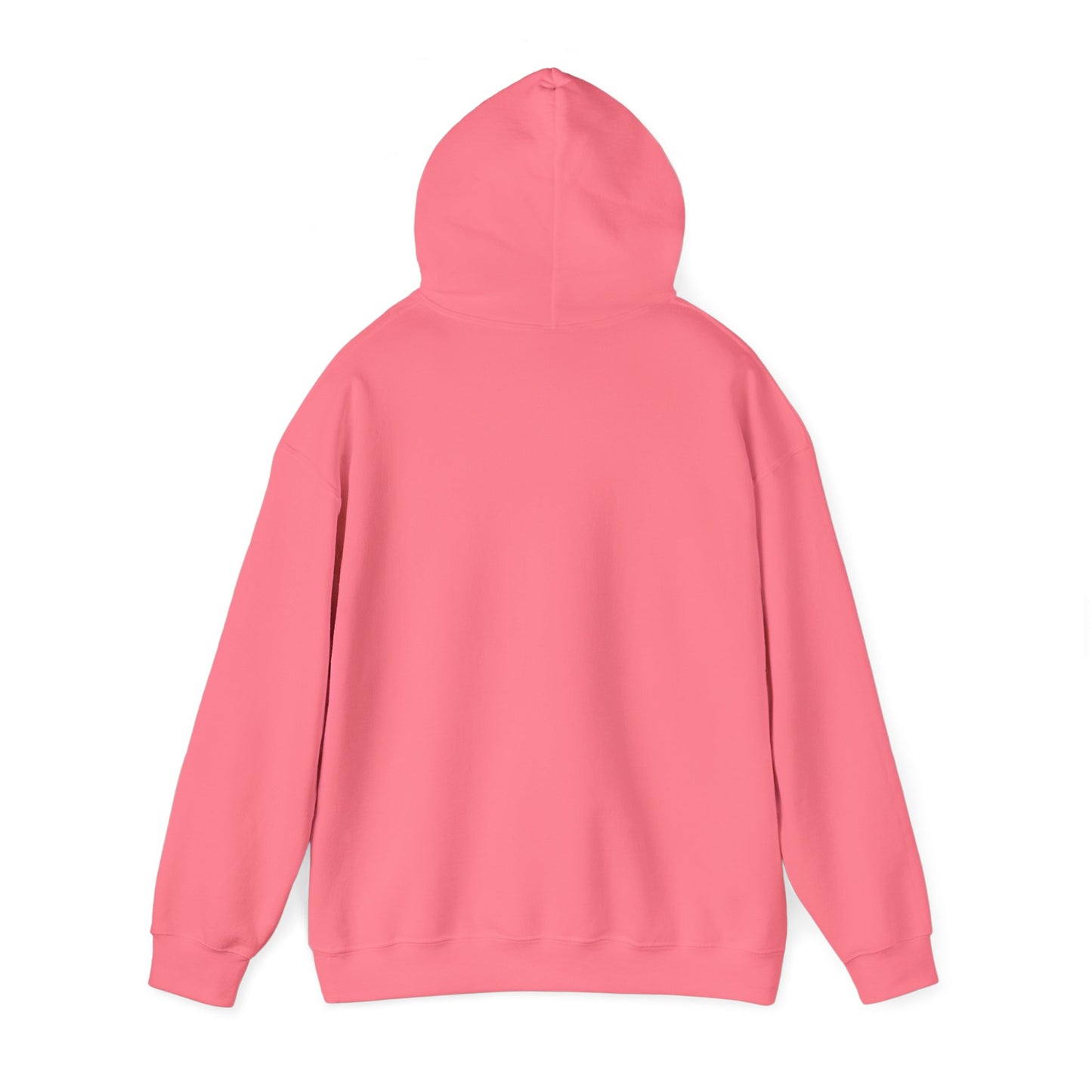embroidery hoodie