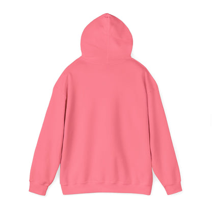 embroidery hoodie