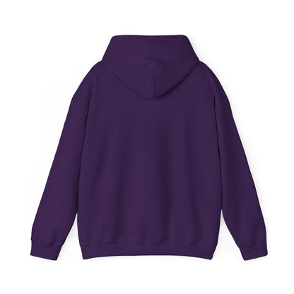 embroidery hoodie